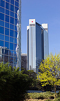 cau lo bach thu khung 3 ngay