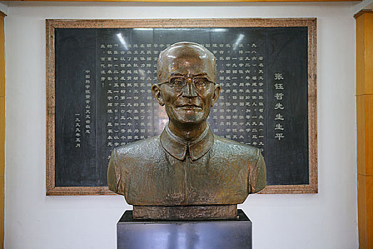 cau lo bach thu khung 5 ngay