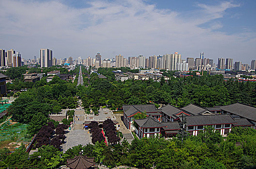 bạch thủ lô