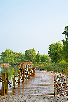 soi cau mb gio vang