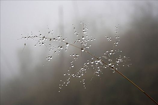 xổ số thứ sáu hàng tuần