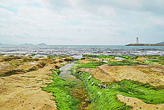 soi cầu 88 com