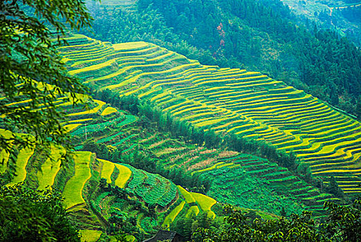 kqxsmb soi cau thong ke